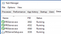 Task Manager Running Services.png